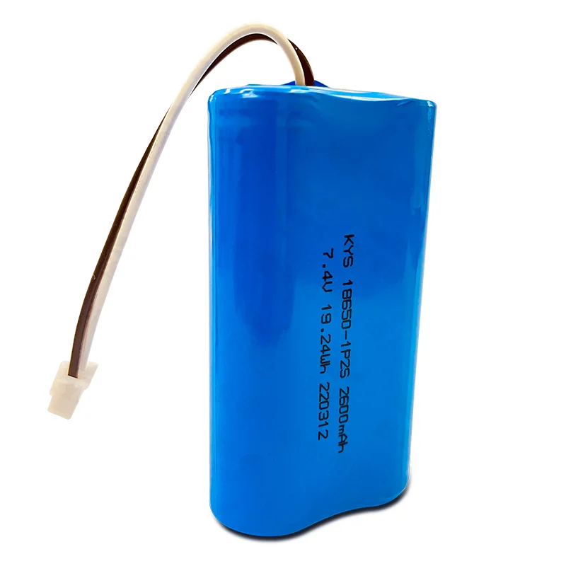 2600mAh Battery Pack Lithium Ion