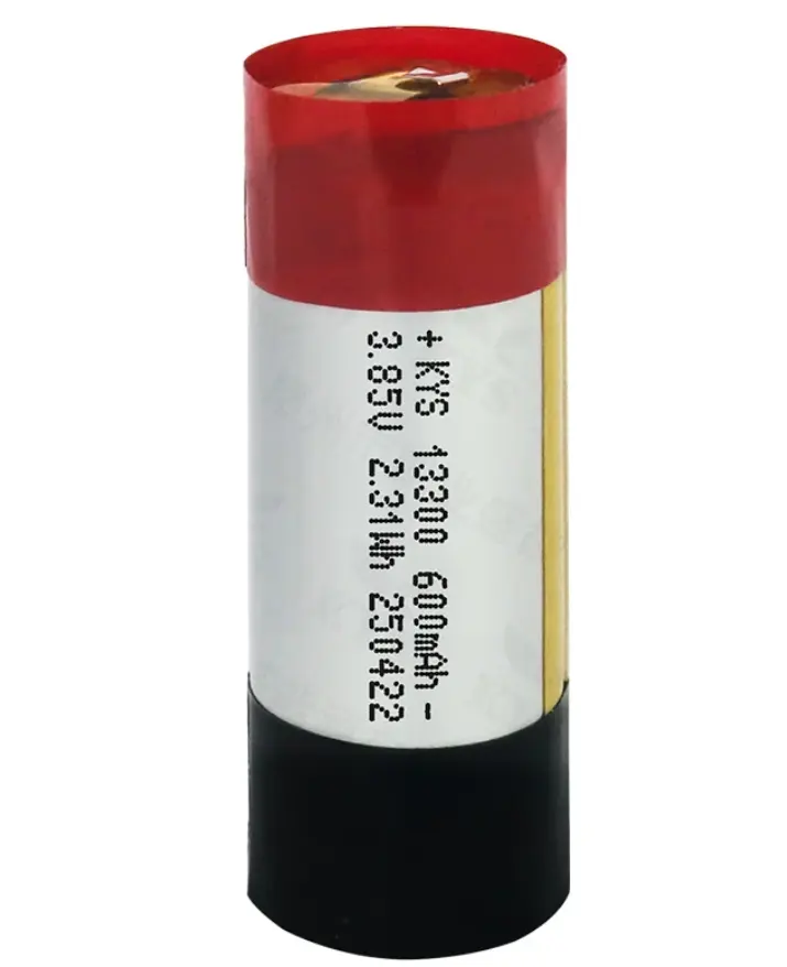 OEM LiPo Battery